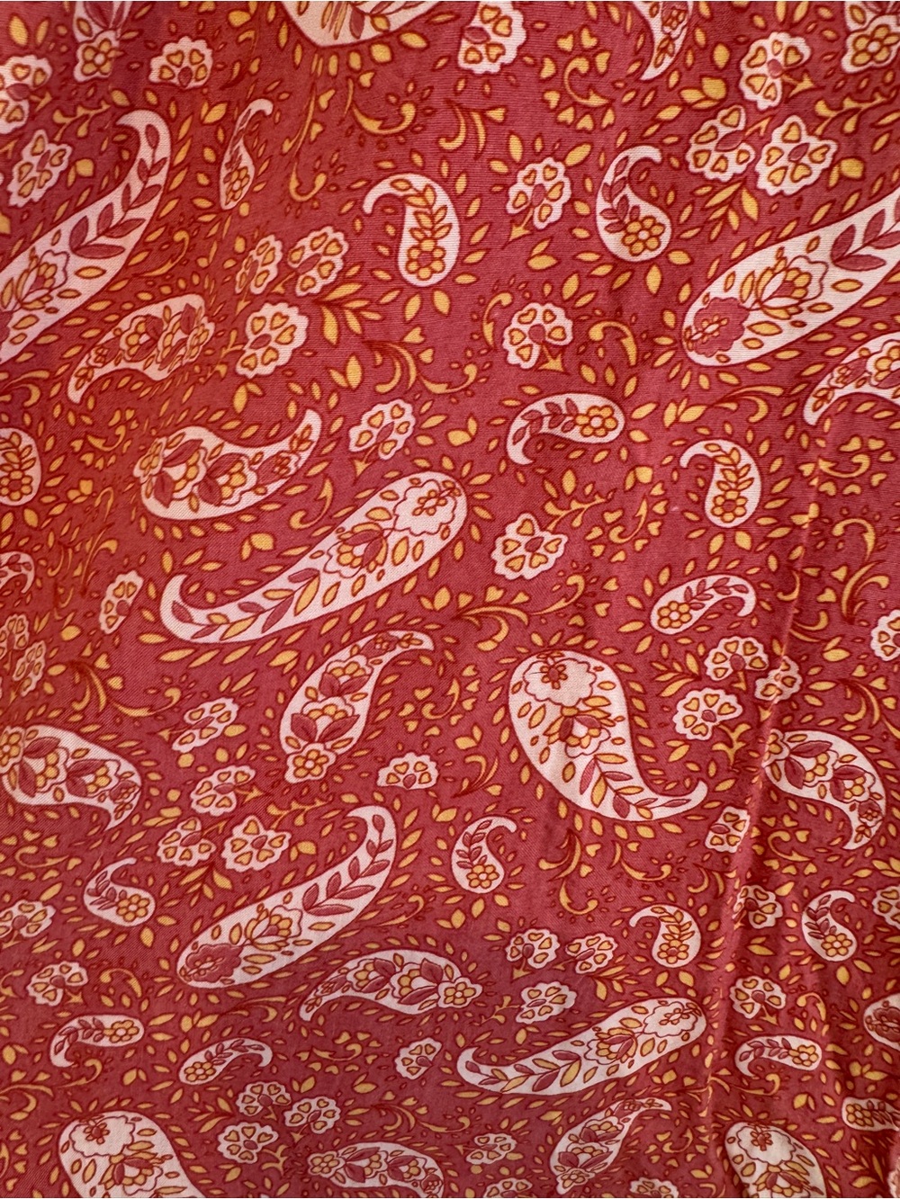 Patrons of Peace Rust Orange Paisley Florals Pants - Picture 2 of 4
